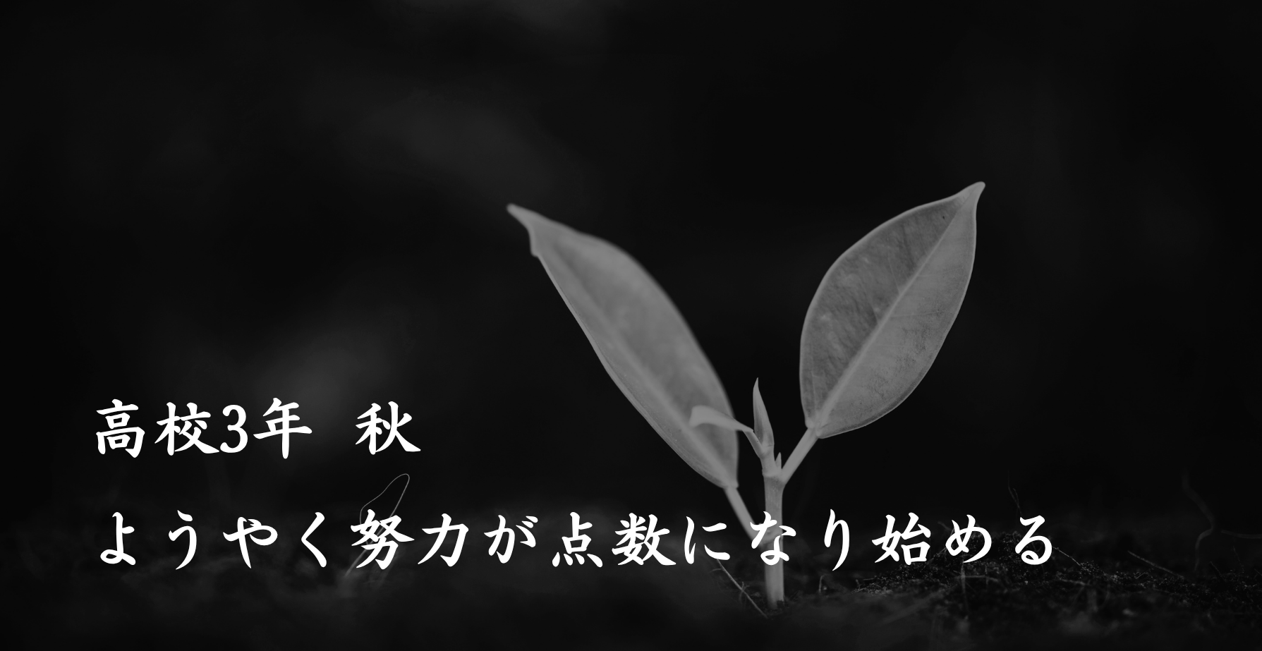 ヘッダー画像 PC・タブレット用