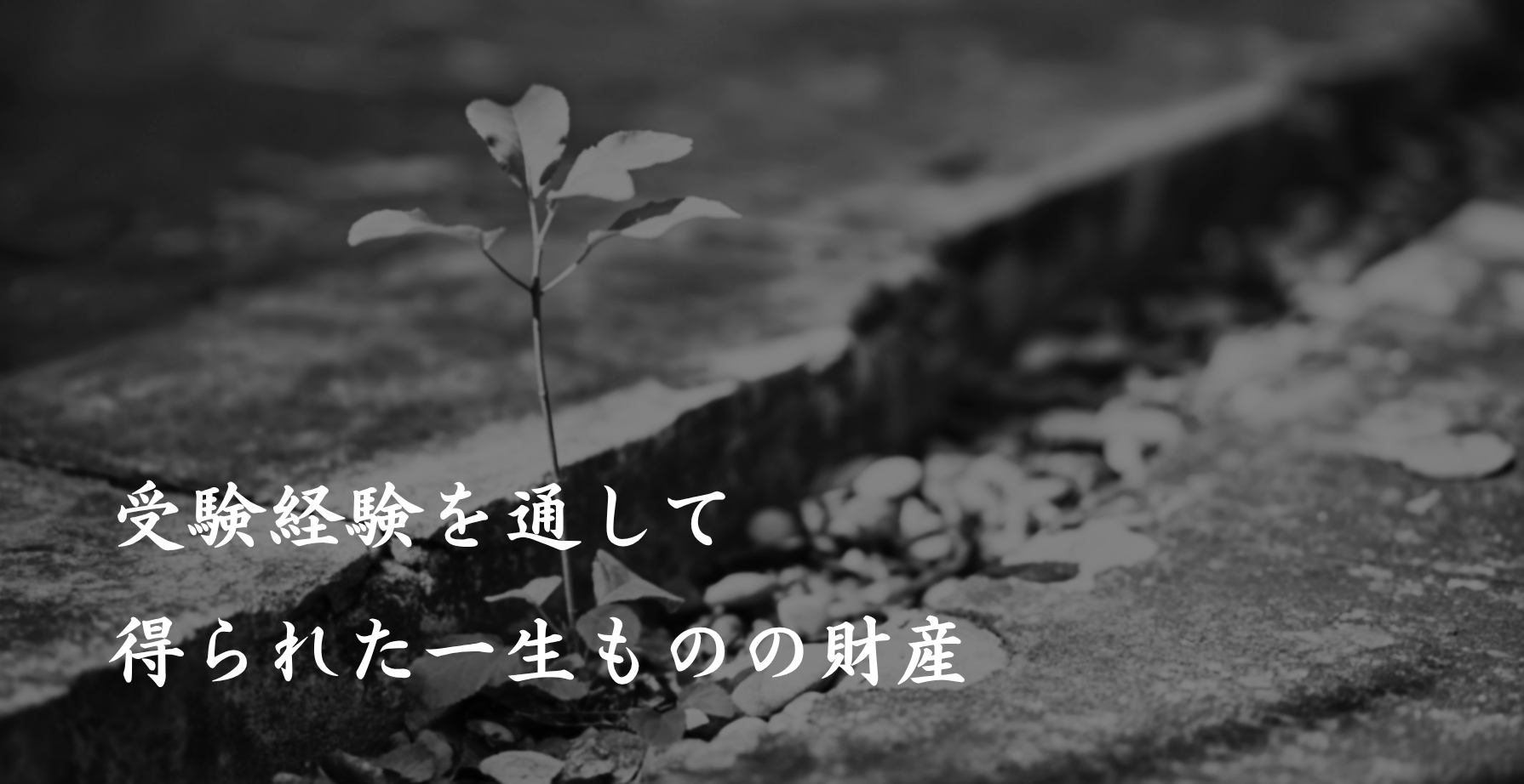 ヘッダー画像 PC・タブレット用