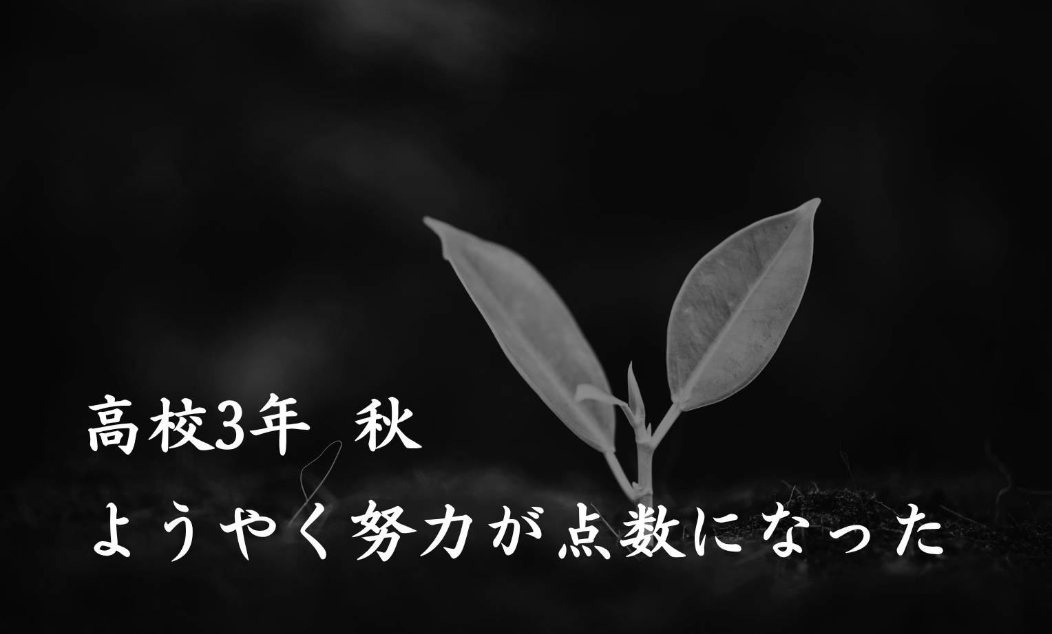 ヘッダー画像 スマホ用