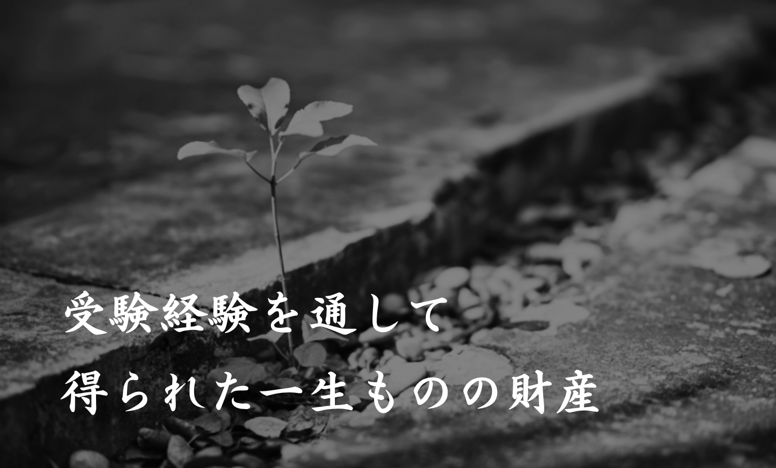 ヘッダー画像 スマホ用